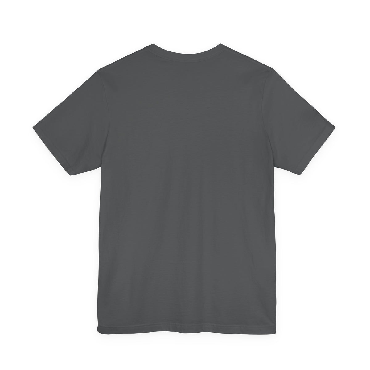 A plain asphalt colored short-sleeve crewneck t-shirt shown from the back, laid flat against a solid white background.